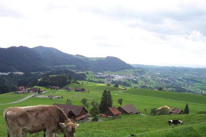 11-Day Private Lite Tour Across Switzerland by Bike from Geneve - Soleure and Solothurn are the same pause in the route