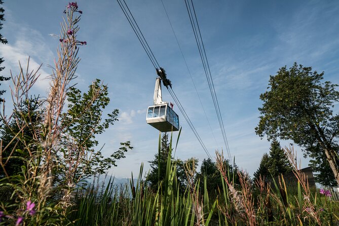 2-Day Mt Rigi Tour from Zurich Including Mineral Baths and Lake Lucerne Cruise - Dinner at Hotel Rigi Kaltbad