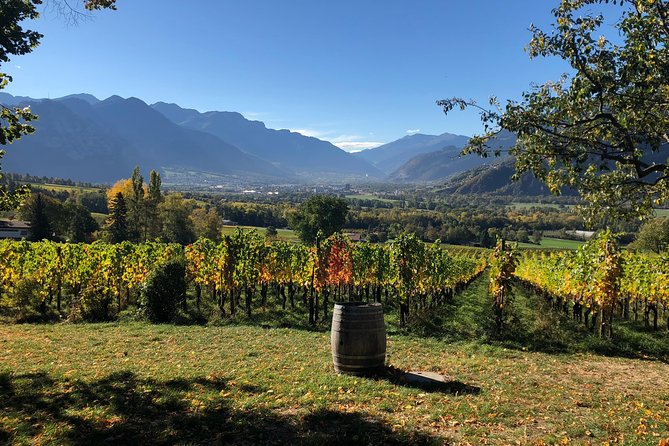 3 Hour Unique Wine Tour - Half Day in Swiss Alps - A short Swiss wine outing with real scenery