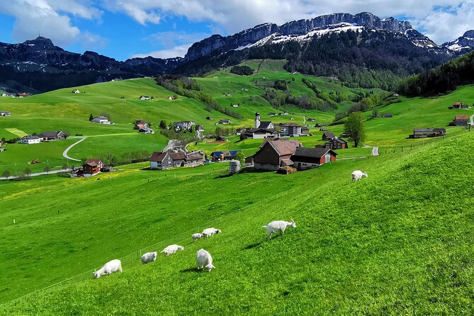 All Inclusive Rhine Falls and Appenzell Private Day Tour from Zurich - What the $1,397.62 price really buys