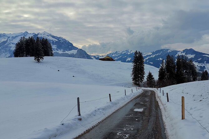 All Inclusive Rhine Falls and Appenzell Private Day Tour from Zurich - Pickup, timing, and the practical side