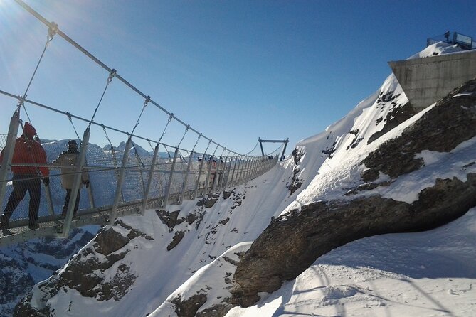Alpine Majesty:Exclusive Private Tour to Mount Titlis from Luzern - Reaching the summit by gondola