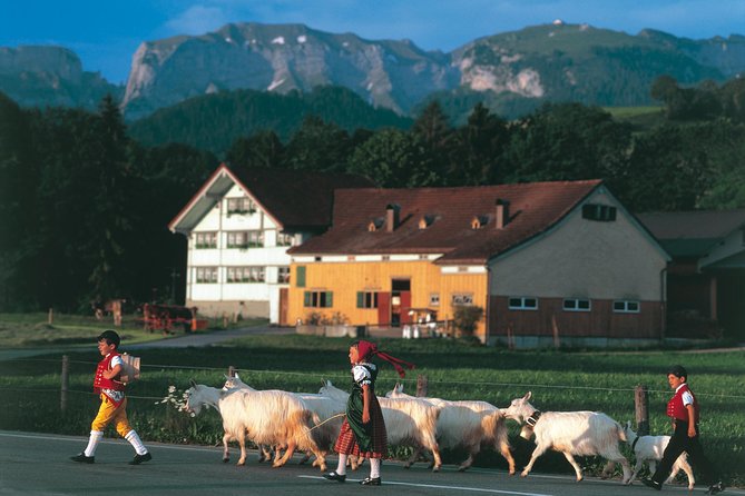 Appenzell Alps Day Trip from Zurich – Farm Life & Cheese Tasting - Appenzeller cheese at the show dairy