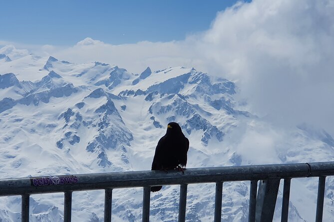 Attraction Ticket: Mt. Titlis by Train and Cableway from Lucerne - The Titlis Cliff Walk and the bridge thrill