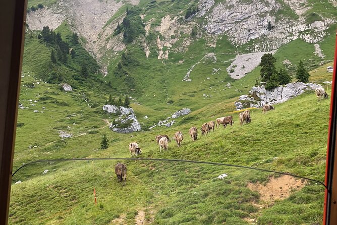 Basel Private tour - Mt. Pilatus and Cruise on Lake of Lucerne - Down the steepest cogwheel railway