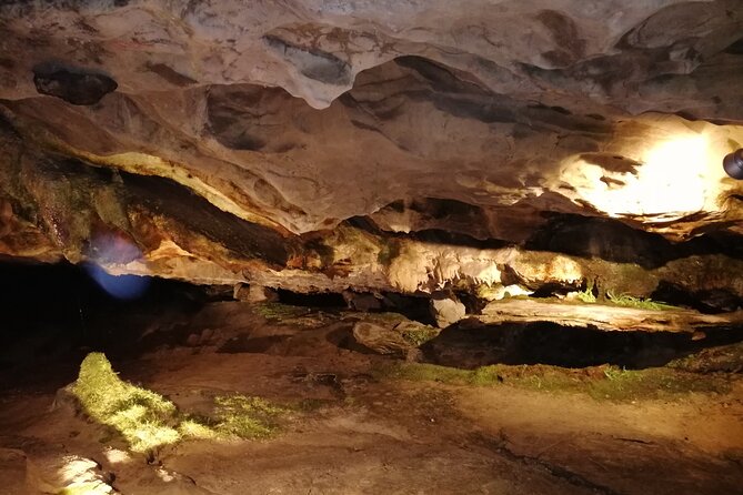 Beatus Caves, Panoramic Bridge, Nature Park Blue Lake and Lake Thun Cruise - Is $373.79 a fair price?