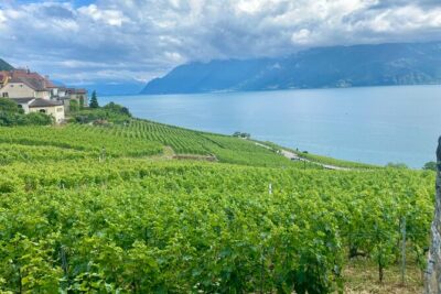 Bern Private Tour – Gruyères , Cheese, and Lavaux’s UNESCO Wine