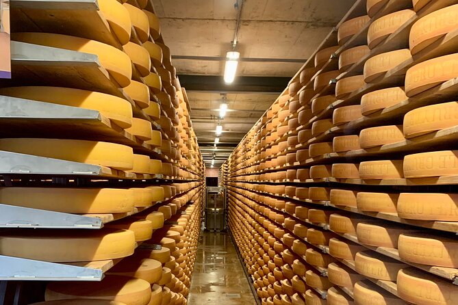 Bern Private Tour - Gruyères , Cheese, and Lavaux's UNESCO Wine - Who will enjoy this route most