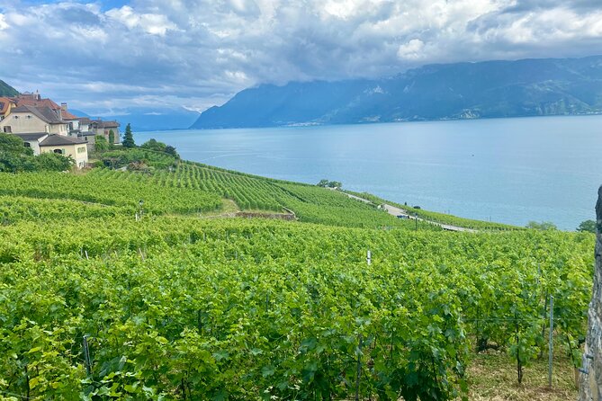 Bern Private Tour - Gruyères , Cheese, and Lavaux's UNESCO Wine - Leaving Bern for the Gruyères region