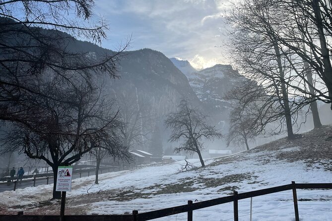 Best of Bernese Oberland & Swiss Countryside Tour (Private Tour) - Optional additions can improve the day, but cost more