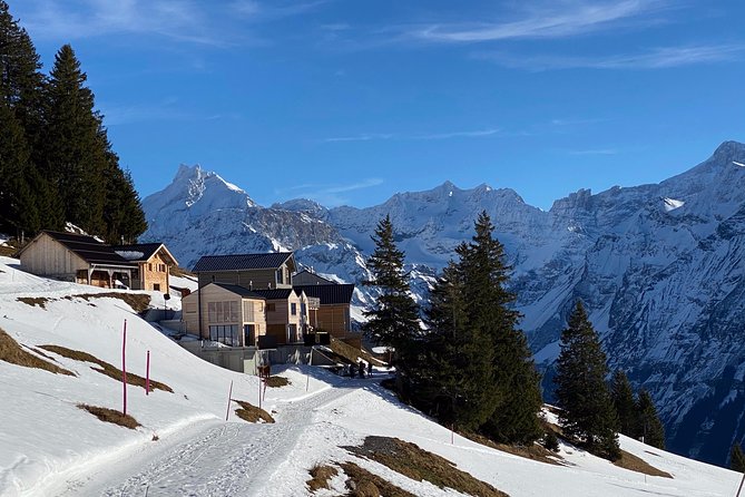 Best of the Uri Alps: A fjord-like lake, glorious peaks and sustainable tourism - Lake Uri and the changing mountain views