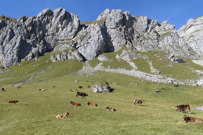 Best of the Uri Alps: A fjord-like lake, glorious peaks and sustainable tourism - Starting at Altdorf and setting the day’s plan