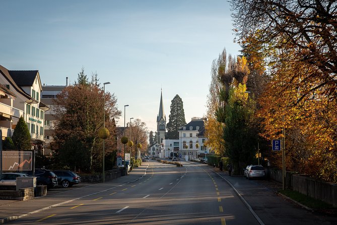 Best of Zurich Tour with Felsenegg Cable Car and Ferry Ride - How the transportation affects the experience