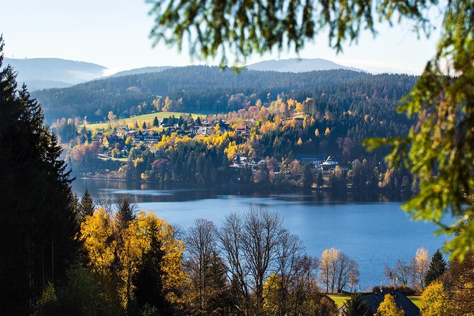 Black Forest and Rhine Falls Day Trip from Zurich - Rhine Falls: the day’s big payoff