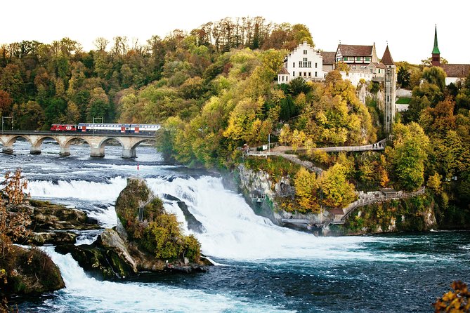 Black Forest and Rhine Falls Day Trip from Zurich - What the $103.95 price really buys