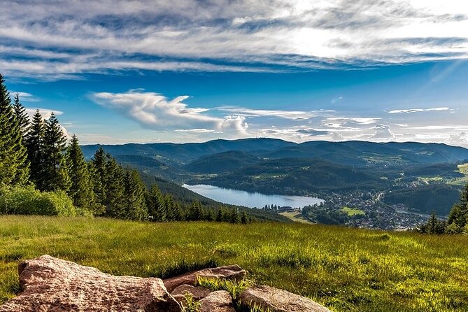 Black Forest and Rhine Falls Day Trip from Zurich - Guides, driving, and group size