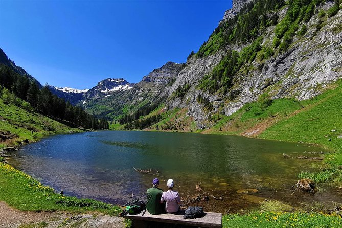 Breathtaking Private Hike with a Local Swiss Expert (1 day trip) - A full Swiss day without a rigid group schedule