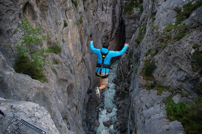 Canyon Swing with OUTDOOR - What the $185.55 price covers
