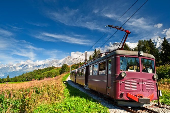 Chamonix and Mont Blanc Private Day Trip from Geneva - Who should book this Chamonix day trip