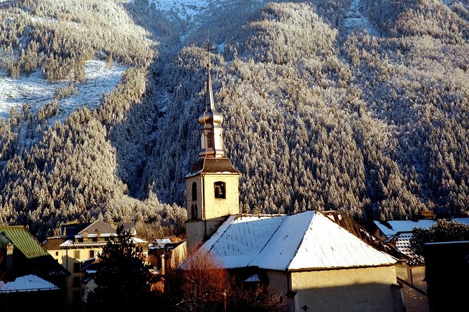 Chamonix Day Trip and Geneva City Tour - What the $190.54 price really buys