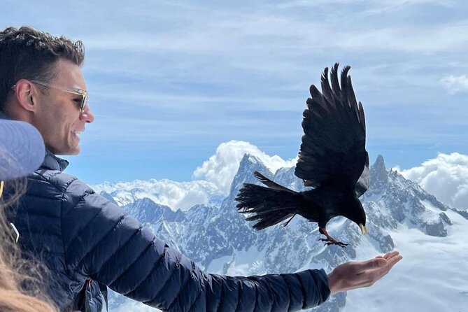 Chamonix Mont-Blanc Full Day Guided Tour - Price and value at $131.61