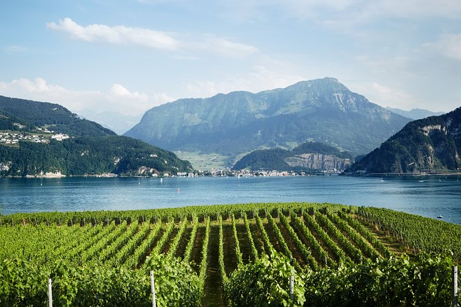 Chocolate, Cheese and Wine Tour in Luzern region - Is $879.41 per person good value?