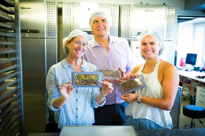 Chocolate Tasting with Lake Trip and City Tour: The Ultimate Lucerne Experience - What the $405.26 price buys you