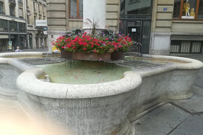 City tour Basel (walking tour) - The best view at Pfalz