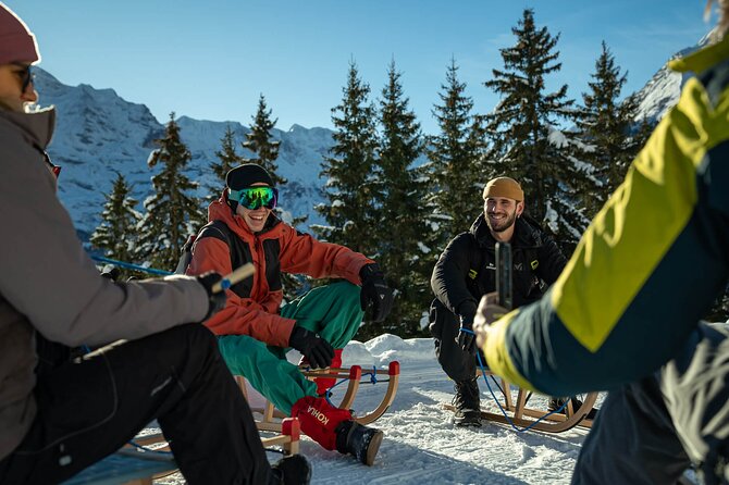 Day Sledding in Interlaken - Families, couples, and first-time sledders