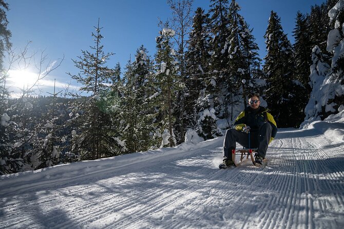 Day Sledding in Interlaken - The views are worth saving room for