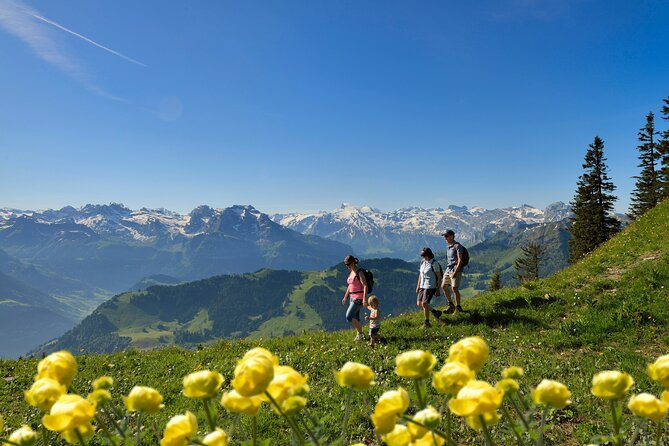 Day Trip to Lucerne and Mount Stanserhorn Including CabriO Cable Car Ride - Returning by public train to Lucerne