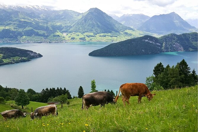 Day Trip to Lucerne and Mt. Rigi with a local from Zurich - Leaving Zurich for Lake Lucerne