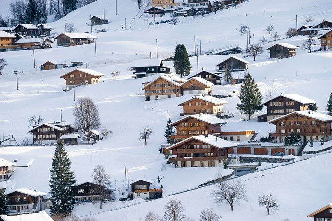 Daytrip to Jungfraujoch Top of Europe and Interlaken from Zurich - Ice Palace and Alpine Sensation