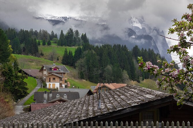 Daytrip to Swiss Villages: Interlaken Grindelwald & Lauterbrunnen - Optional activities and the price of the day