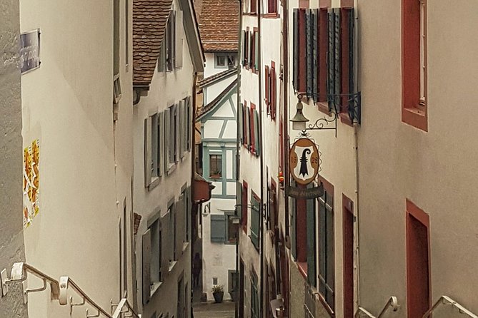 Discover Basel's Charm: Exclusive Private Walking Tour - Basel Minster and the viewing terrace