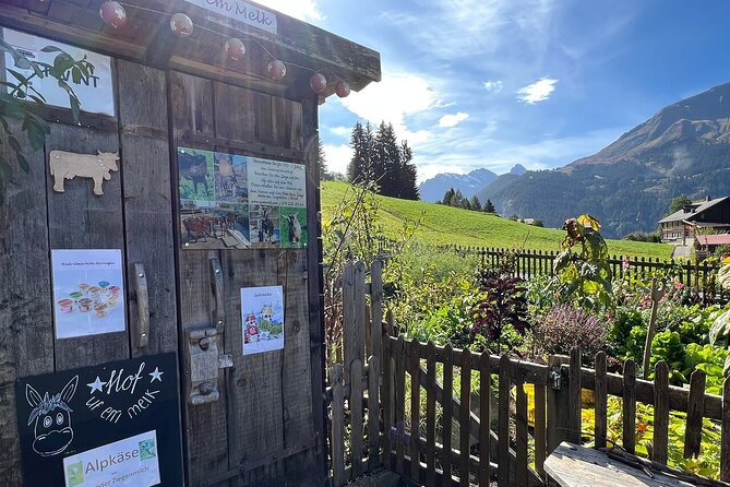 Easy countryside tour in Swiss Alps - kids friendly - Practical Advice Before You Go