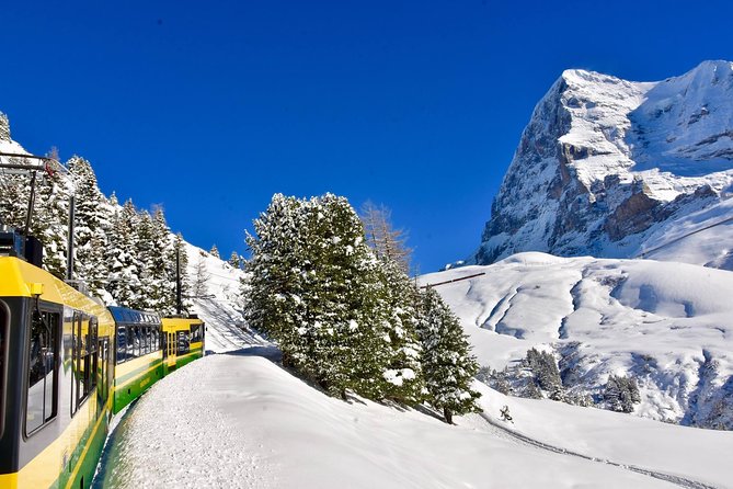 Eiger and Jungfrau Glacier Panorama Tour from Zurich - Down to Grindelwald, the Glacier Village
