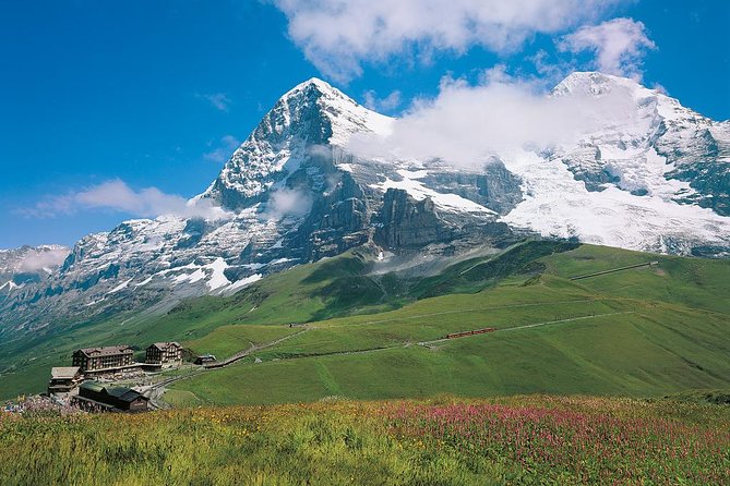 Eiger and Jungfrau Glacier Panorama Tour from Zurich - Who will enjoy this tour most?