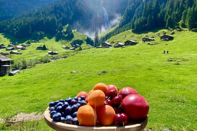 Flavours of Switzerland Luxury Private Tour from Zurich & Lucerne - Adding Lucerne to the day