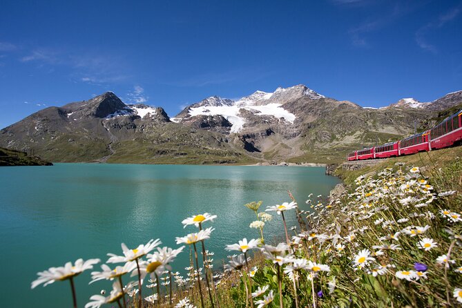 From Milan: St. Moritz and Panoramic Bernina Express Tour - The Bernina train and its great mountain views