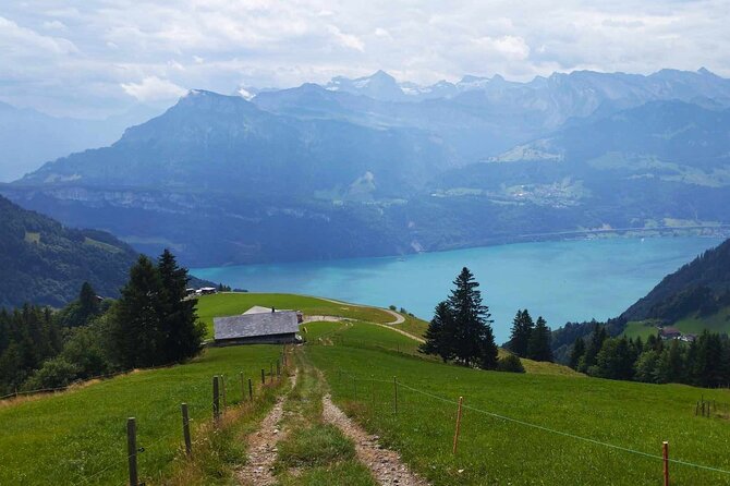 Full-Day Hiking Swiss Alps and Lake swim with Pick-up - Why this Lucerne day trip is worth considering