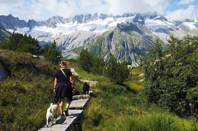 Full-Day Hiking Swiss Alps and Lake swim with Pick-up - The summer route toward Göscheneralpsee