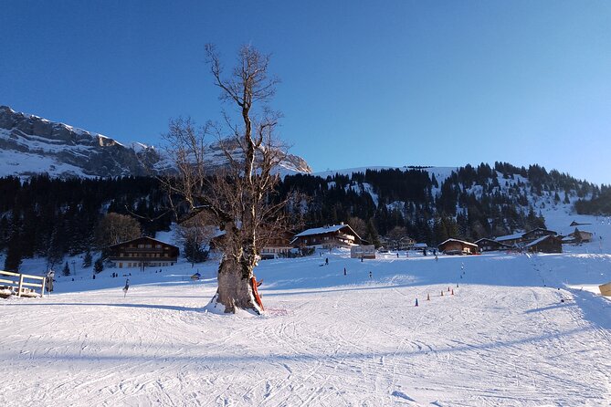 Fully organized Ski Experience for Private Groups - Who will get the most from this Axalp lesson