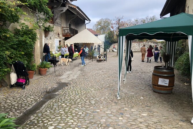 Geneva Countryside By E-Bike With Wine Tasting - Riding through Les Délices and Les Charmilles