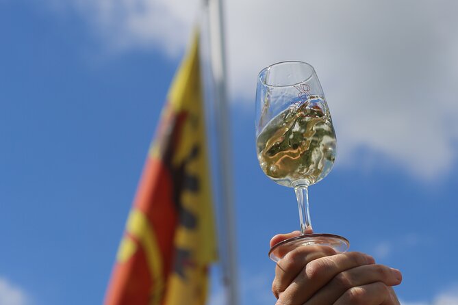 Geneva Panoramic & Tasting Vineyards Tour in an Tuk Tuk - The guide can make or break the experience
