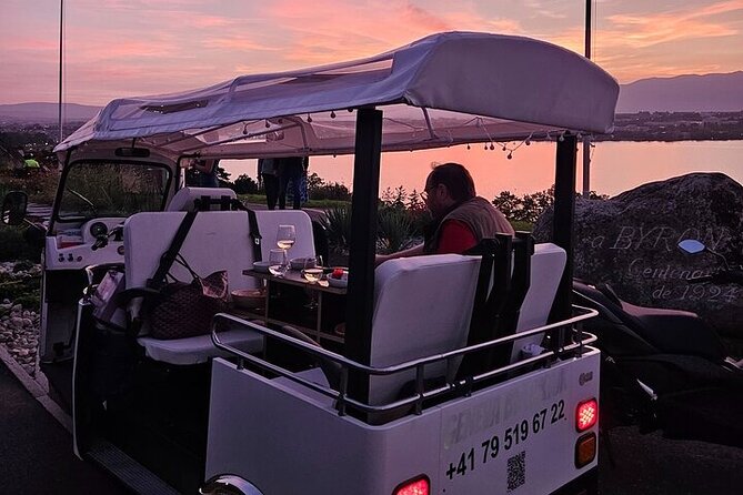 Geneva: Sightseeing of top Places Tour Electric TukTuk 1H15 tour - Lake Geneva gives the tour its grand opening