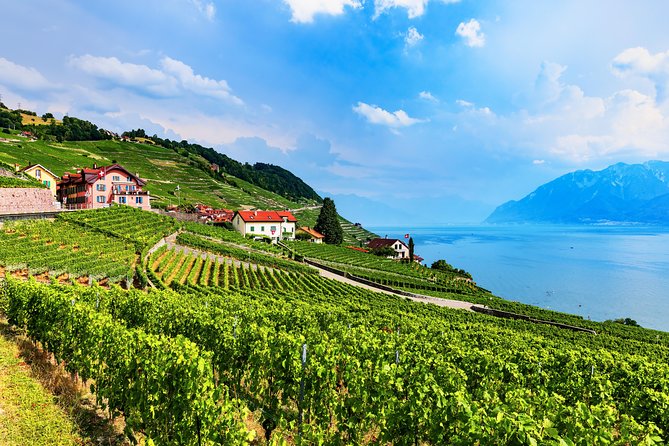Geneva to Gruyère Private Day Trip. Cheese & Chocolate Tour - Who will enjoy this outing most?