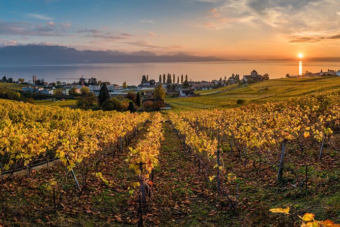 Geneva to Lausanne, Montreux and Château Chillon Private Tour - Vevey and the lakefront road