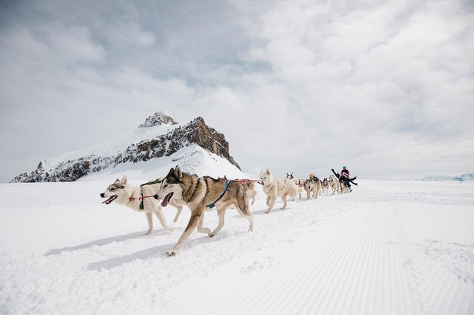 Glacier 3000 Ticket Including Cable Car and Peak Walk by Tissot - Restaurants, shops, and the cost of a summit meal