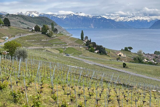 Gourmet Food and Wine Tasting Walk in Lavaux - Riex and the heart of Lavaux